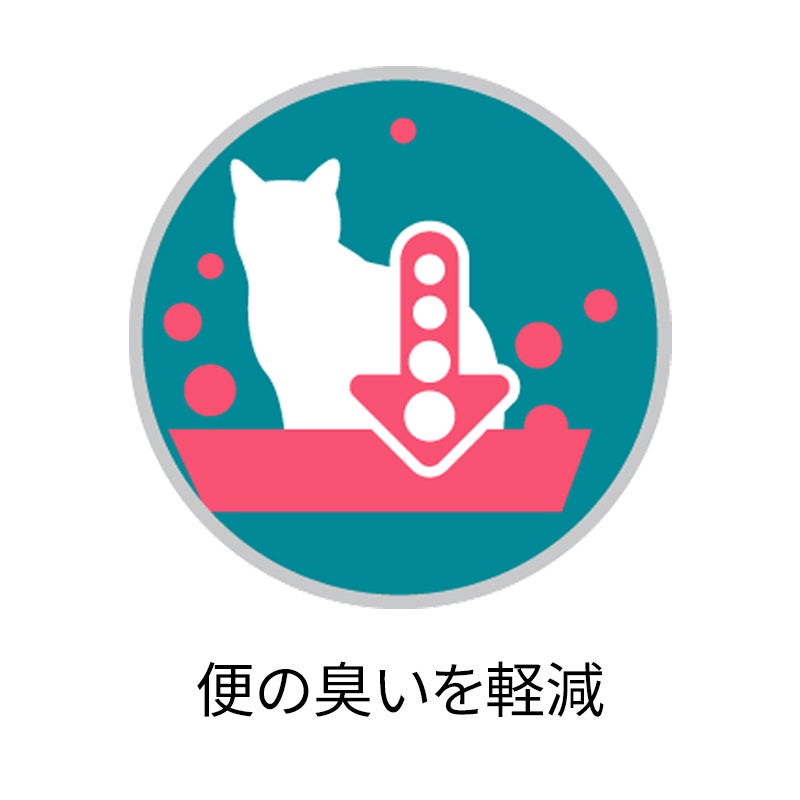 室内飼い猫用 インドアキャット 1歳以上 サーモン＆ツナ - ピュリナ